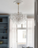 Фото Стеклянная люстра Алисия [М] Louvre Home