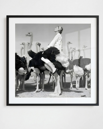 Фото Квадратный постер Wenda & Ostriches Louvre Home
