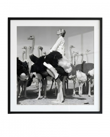 Фото Квадратный постер Wenda & Ostriches Louvre Home